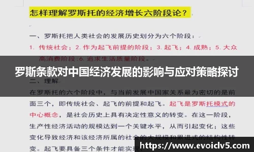 罗斯条款对中国经济发展的影响与应对策略探讨