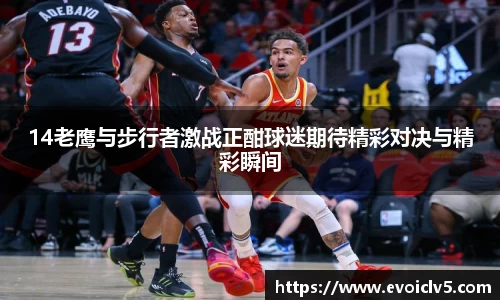 14老鹰与步行者激战正酣球迷期待精彩对决与精彩瞬间